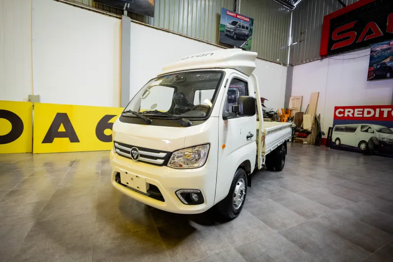 Foton Aumark Cargo T3